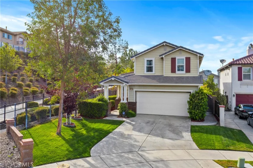 25139 Birchtree Court photo