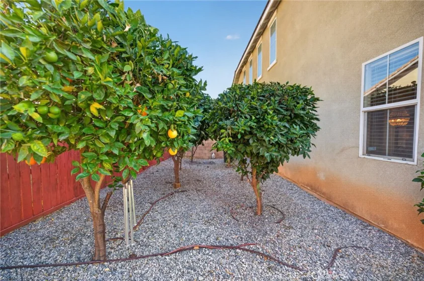 30392 Terrain photo 51