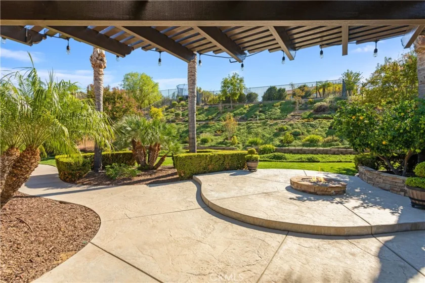 34581 Collier Falls Court photo 43