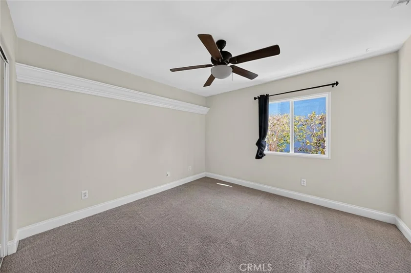 33320 Rhine photo 45