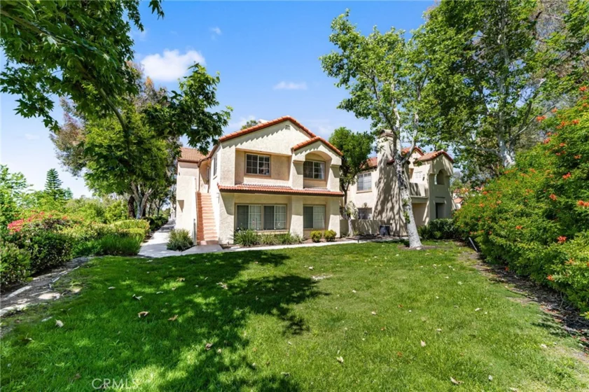 21256 Camelia photo 3