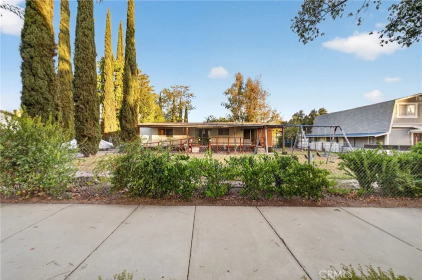 41926 Juniper photo 2