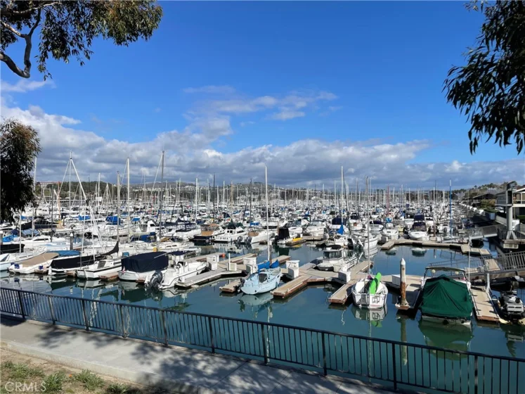 3446 Doheny Way photo 1