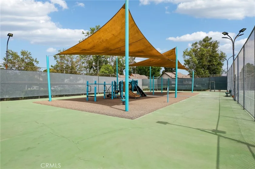 288 Tangelo photo 40