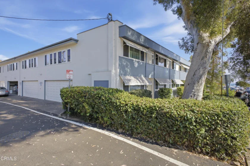 245 Aster Street #6 photo 29