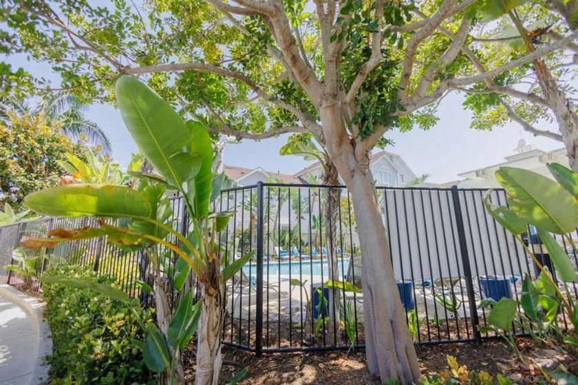 810 Harbor Cliff Way #230 photo 49