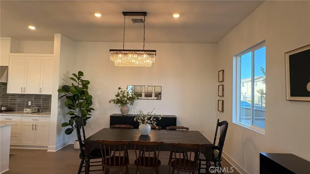 313 Terrapin photo 5