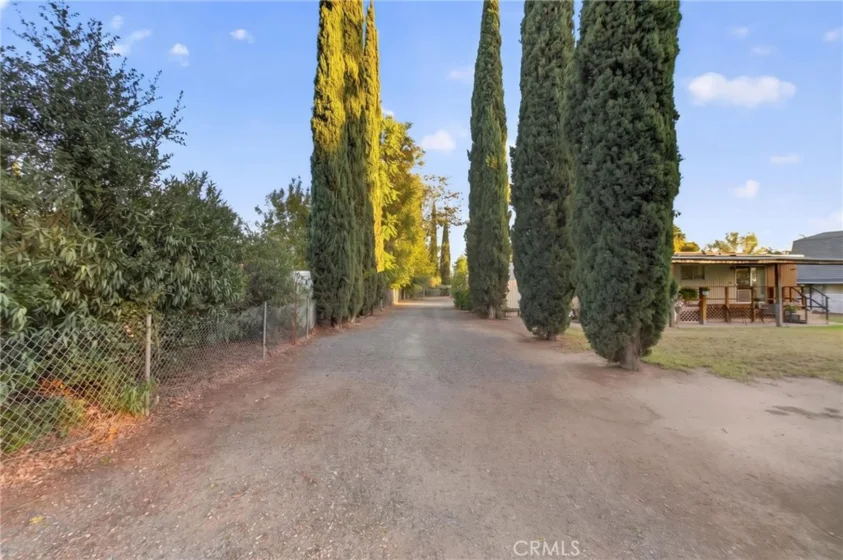 41926 Juniper photo 6