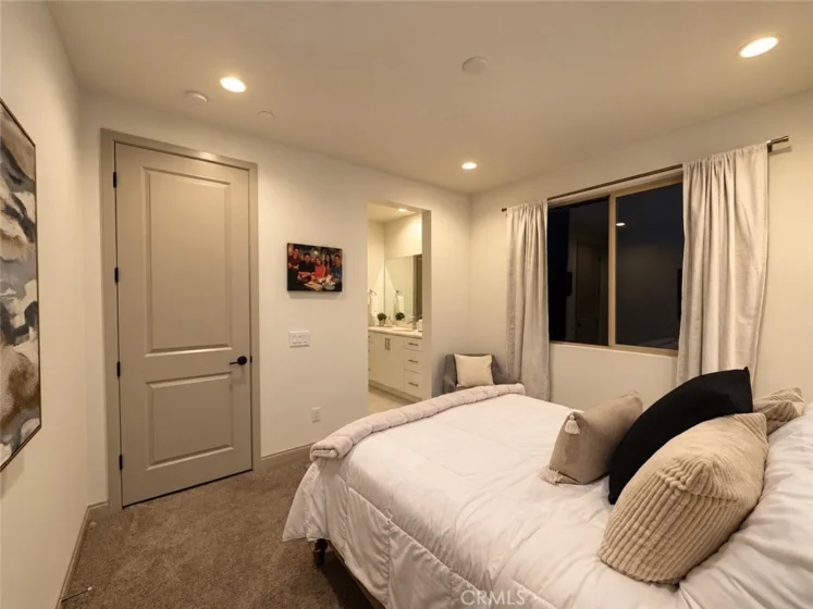 32229 Olea photo 19