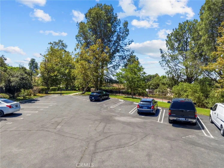 14071 Fenton Lane photo 20