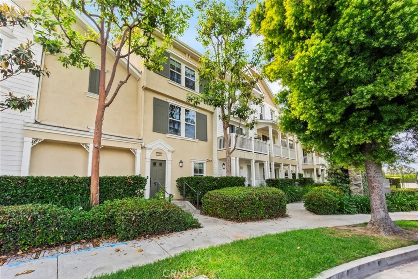 1123 Abelia photo 38