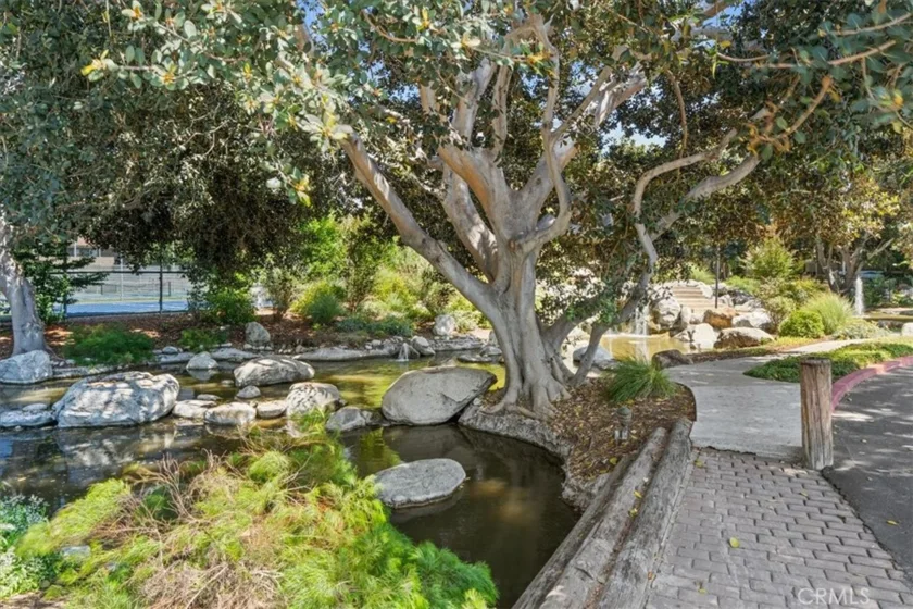 208 Springview photo 28
