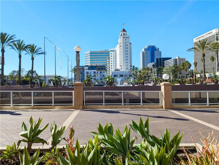 388 E Ocean Boulevard #1117 photo 23