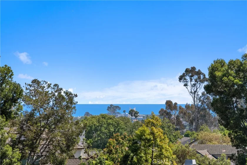 72 Terra photo 16
