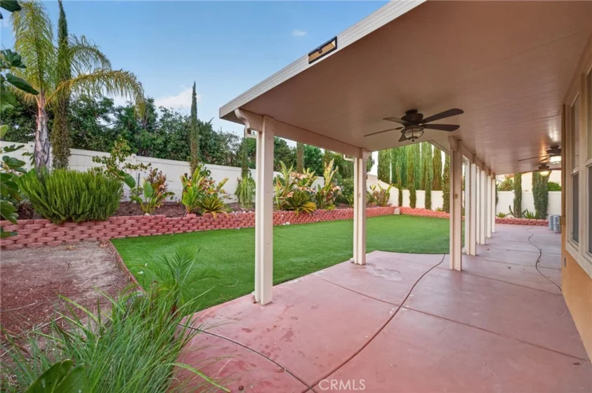 30780 Olympia Rose photo 55