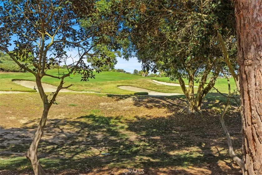 48 Paseo Verde photo 32