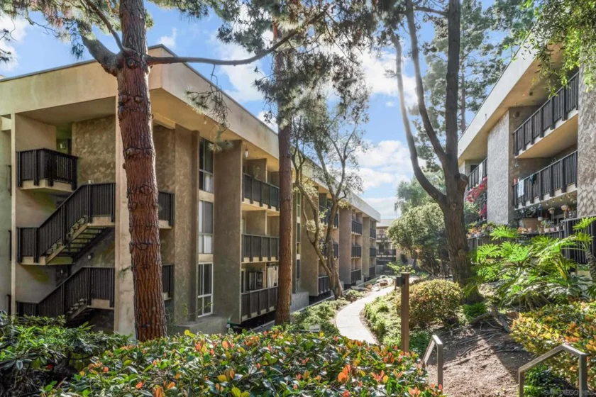 6202 Friars Road #310 photo 12