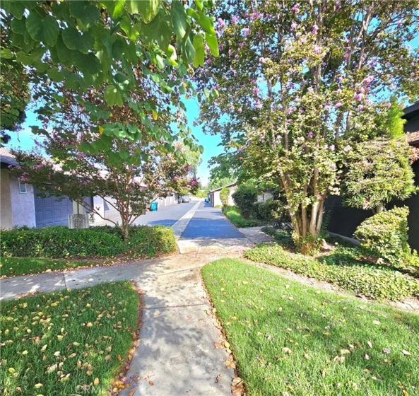 7552 Corbin Avenue #4 photo 4