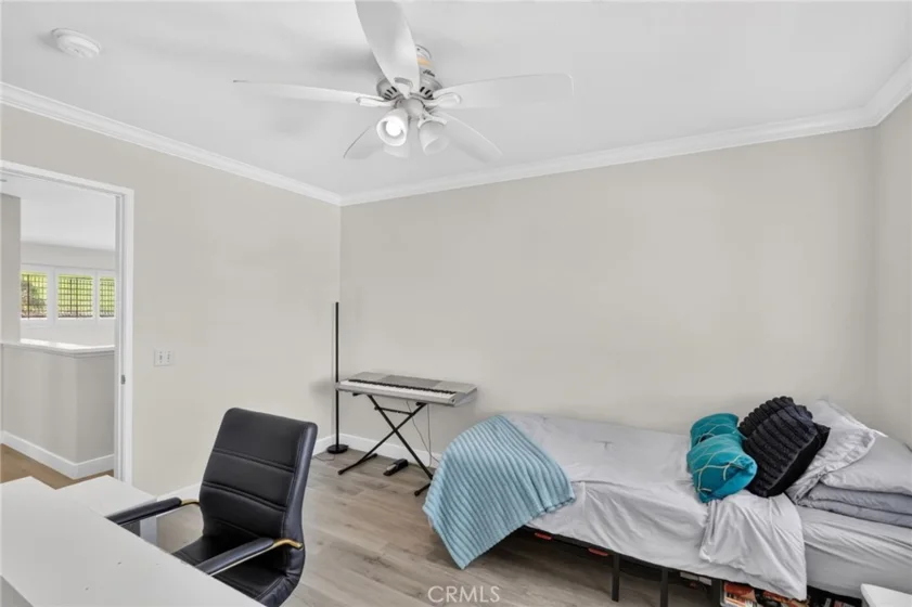 41211 Pine Tree photo 41