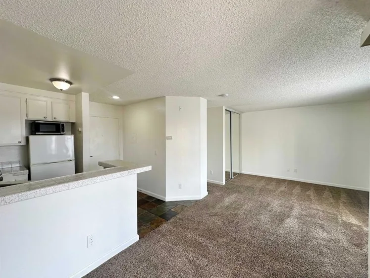 3950 Cleveland #208 photo 6