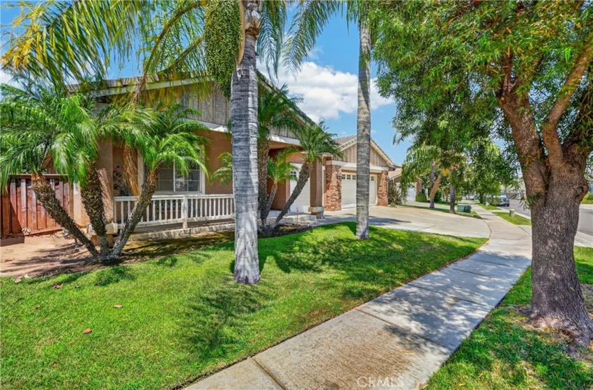 28209 Basswood photo 2