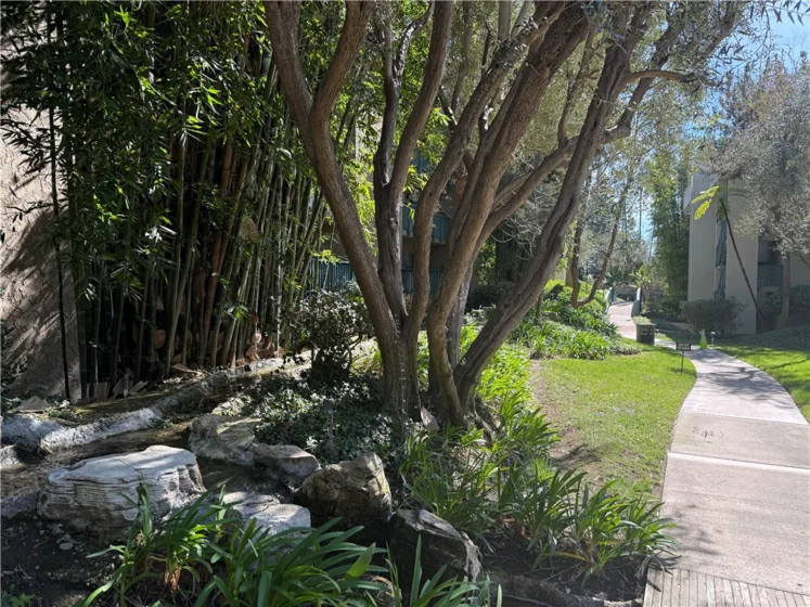 576 N Bellflower Boulevard #236 photo 32