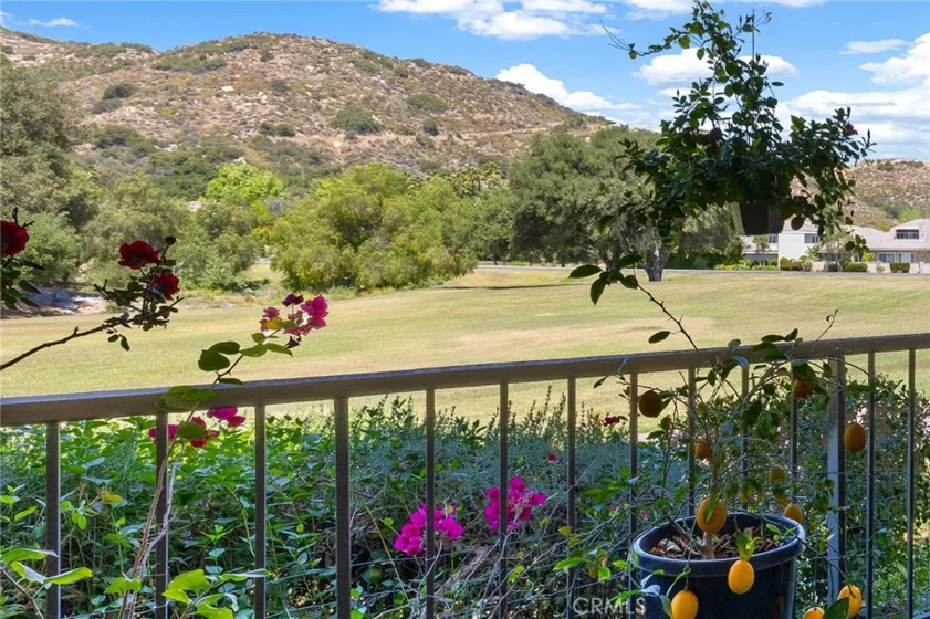 38335 Oaktree photo 7