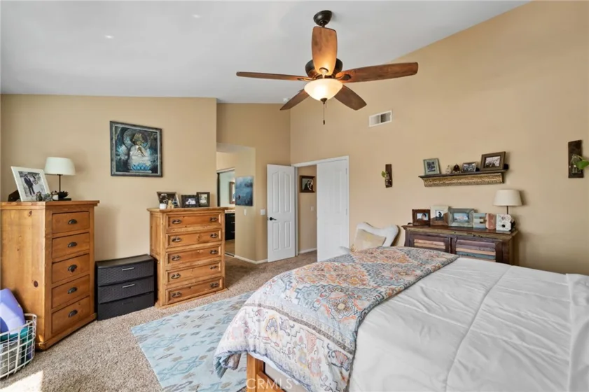 25401 Lacebark photo 27