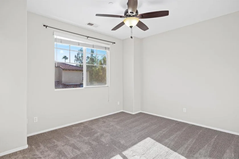 10187 Little Leaf photo 10