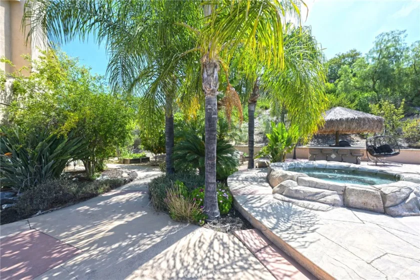 26784 Lemon Grass photo 50