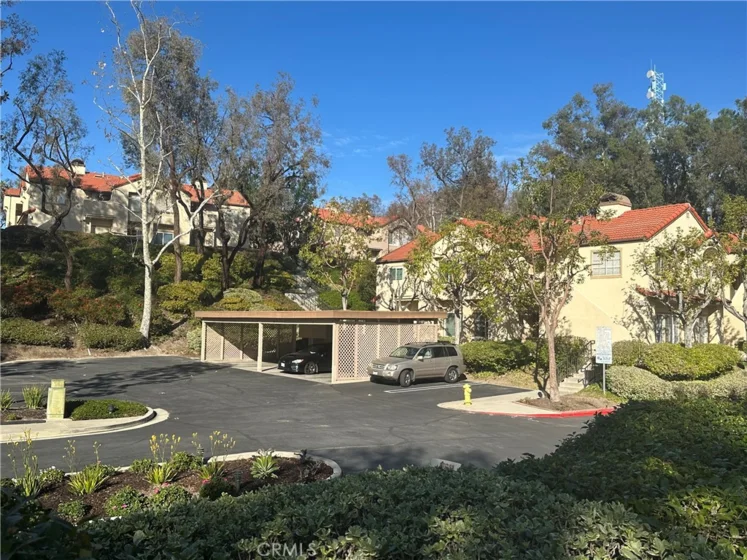 21245 Camelia #27 photo 30