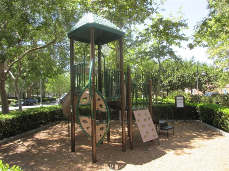 65 Figtree photo 45