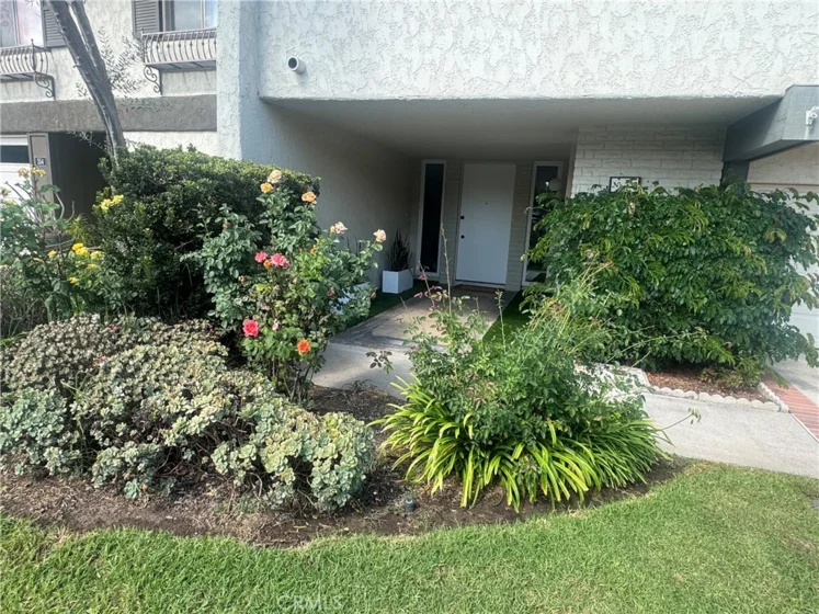 558 Vista Flora photo 4