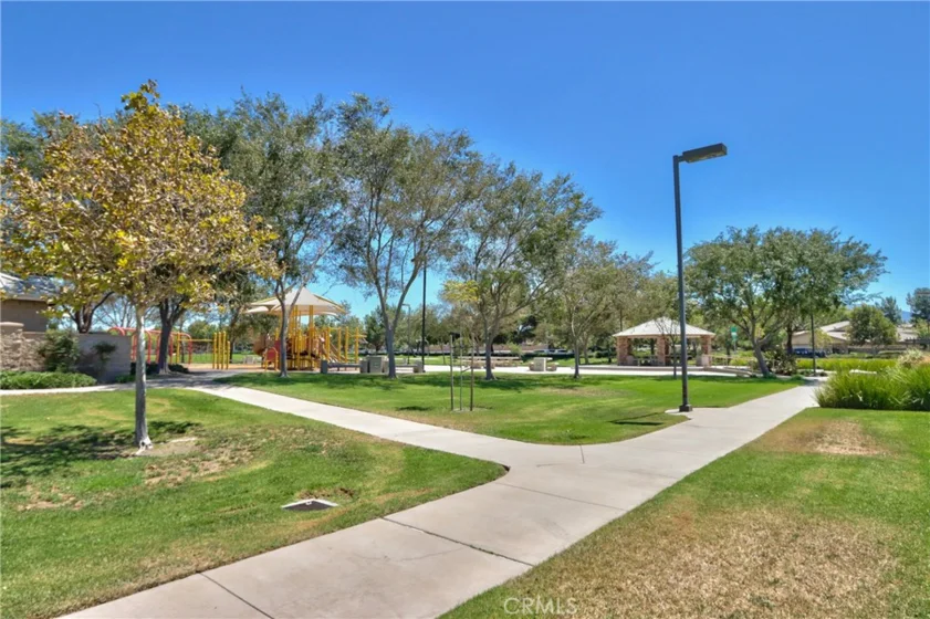 45743 Magnolia photo 51