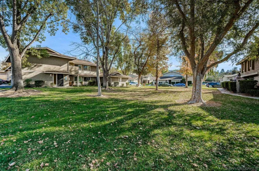 904 Amistad Court #C photo 24