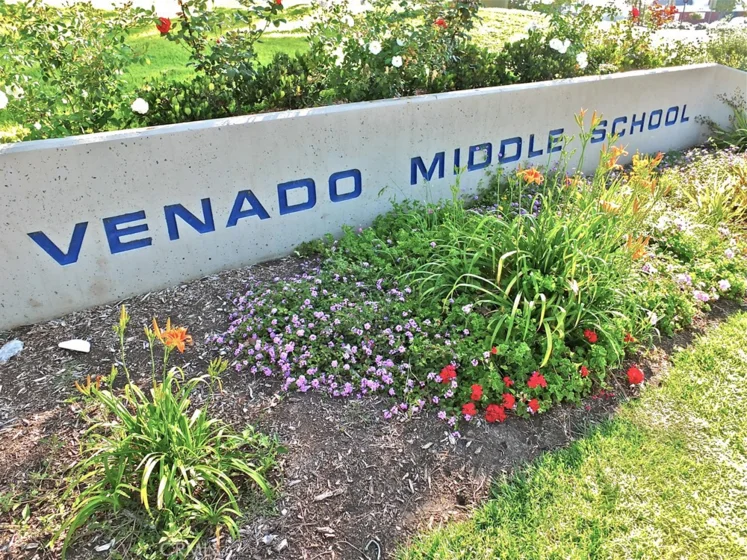 2 Snapdragon photo 44