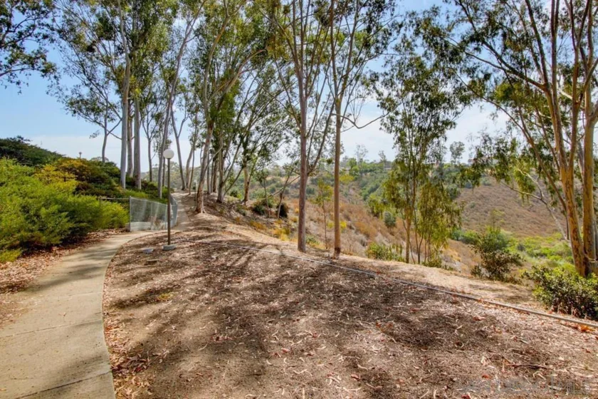 10854 Macouba Place photo 41