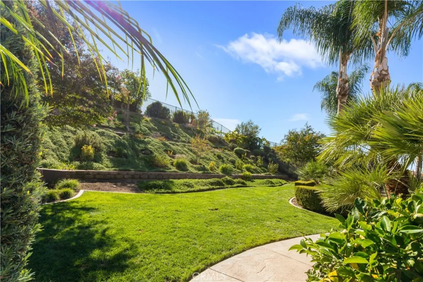 34581 Collier Falls Court photo 44