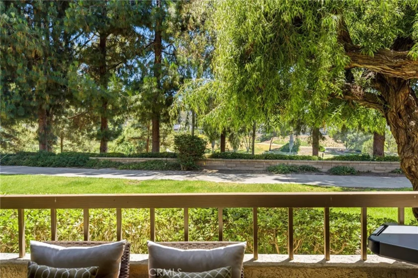 23406 Coso photo 25