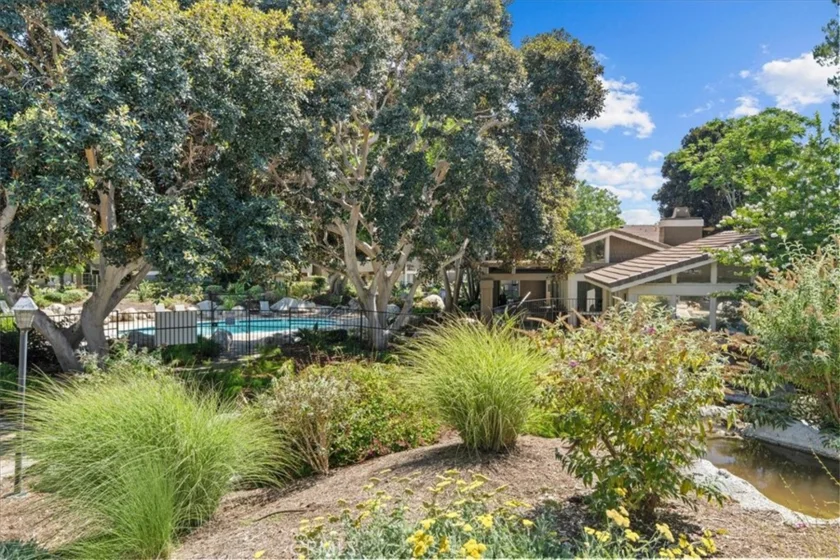 208 Springview photo 31