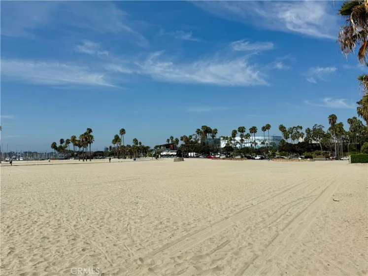 1000 E Ocean Boulevard #416 photo 37