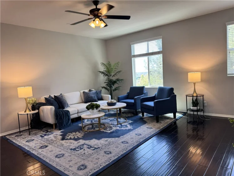47 Aliso Ridge Loop photo 4
