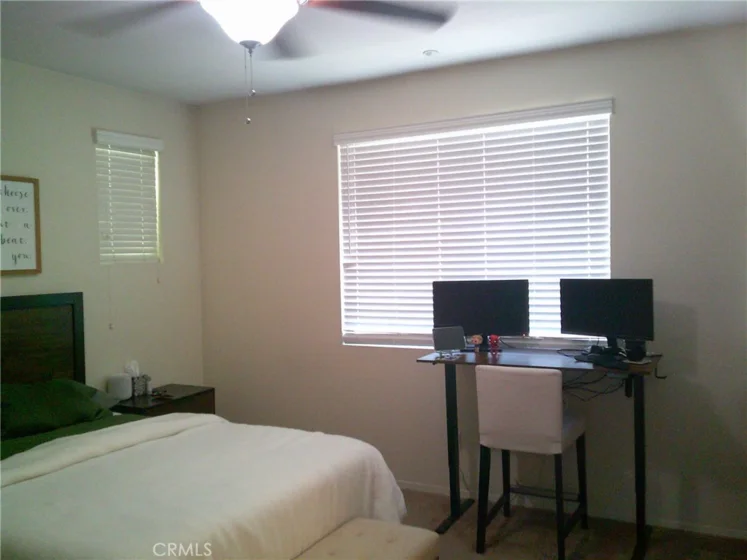 27959 Cactus #B photo 18