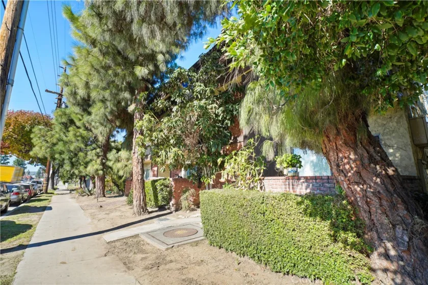21219 Roscoe photo 22