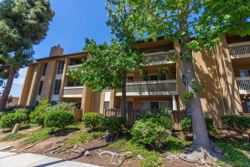 4600 Lamont #212 photo 31