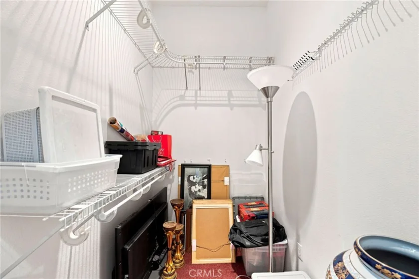 42761 Juniper photo 32