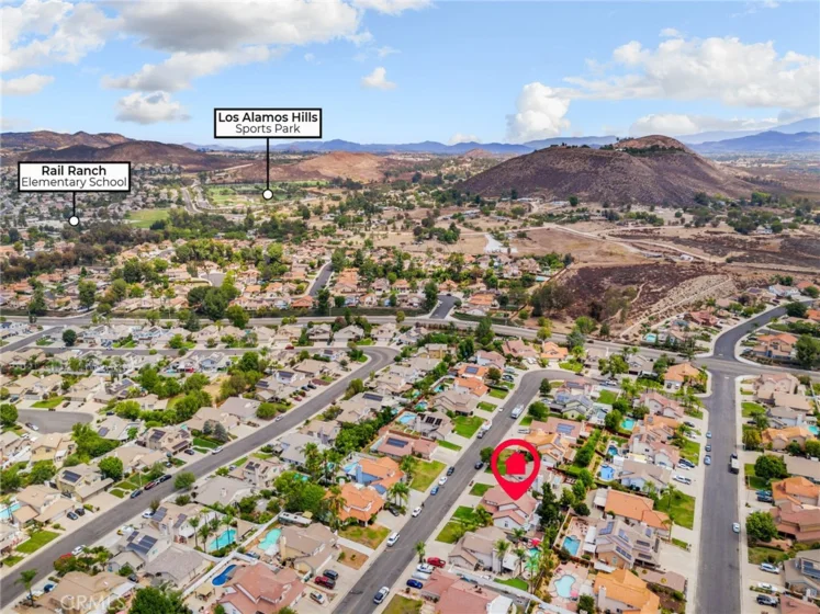 25401 Lacebark photo 54
