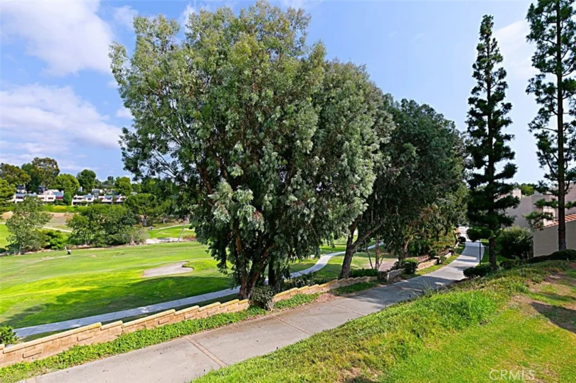 23334 Coso photo 34