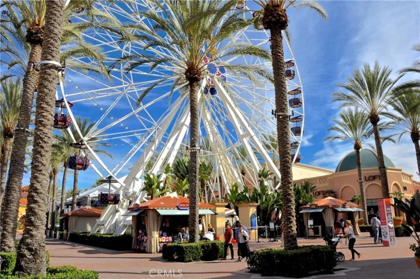 95 Canopy photo 63