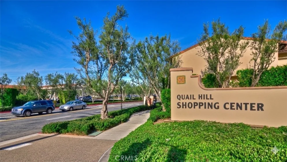 95 Canopy photo 53